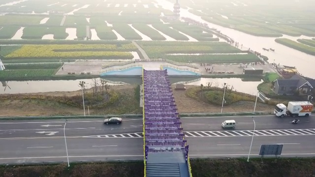 空中杏花油菜籽花视频素材