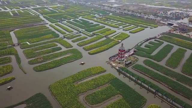 空中杏花油菜籽花视频素材