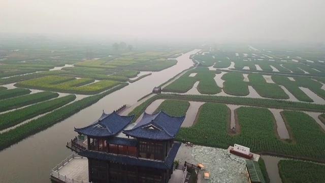 空中杏花油菜籽花视频素材