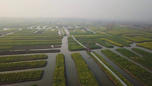 航拍摄影兴化千垛油菜花 河流 船 塔视频素材