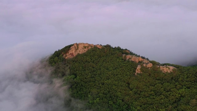 晨光中的云海环绕山顶视频素材