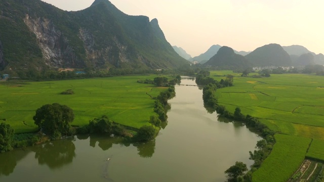 秋天小河两岸的稻田视频素材