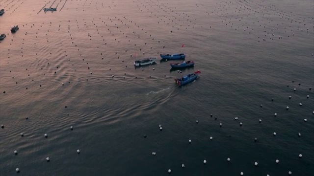 阳光下航怕花鸟岛海面的渔船视频下载