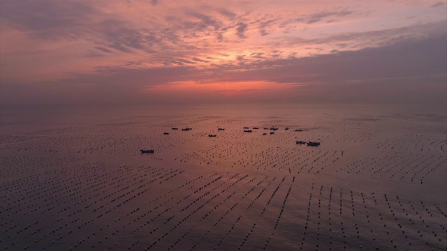 航拍夕阳下的浙江舟山花鸟岛海上渔场视频下载