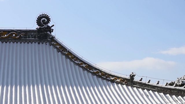 雪后的寺庙屋顶上一枚落叶飘落视频素材