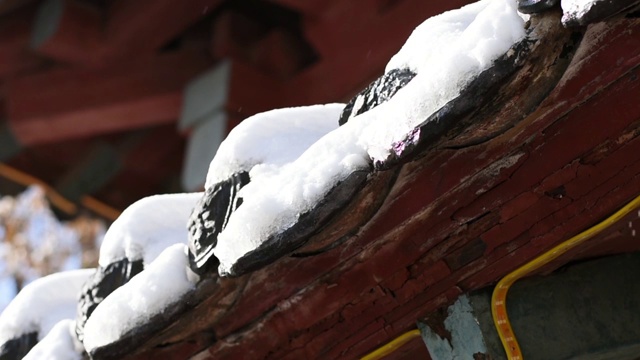 古建筑屋檐上冰雪消融滴水画面视频下载