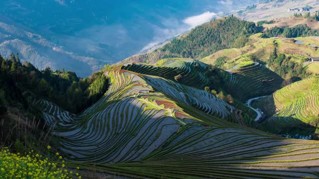 龙脊梯田视频素材