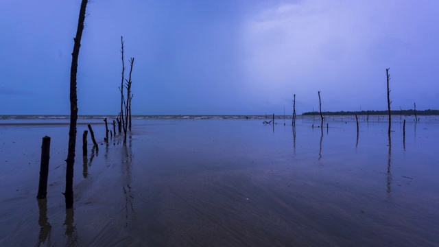 白浪沙滩视频素材