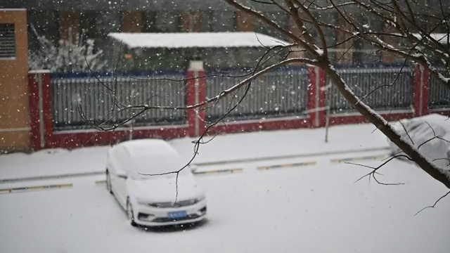 下雪后的雪花视频下载