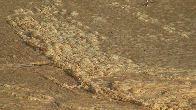 海岸泡沫是污染和废物的理想选择视频素材