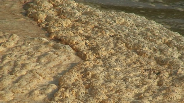 海岸泡沫是污染和废物的理想选择视频素材