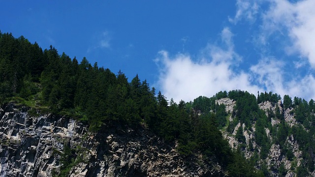 放大飞过高山冷杉视频素材