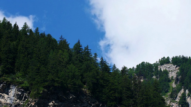 云景在高山冷杉上的时间流逝视频素材