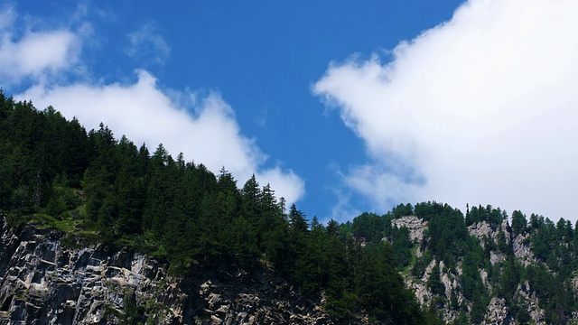 云景在高山冷杉上流逝视频素材