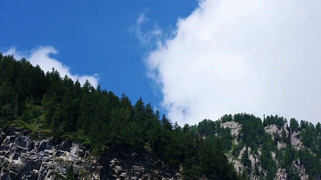 急速飞过高山冷杉视频素材