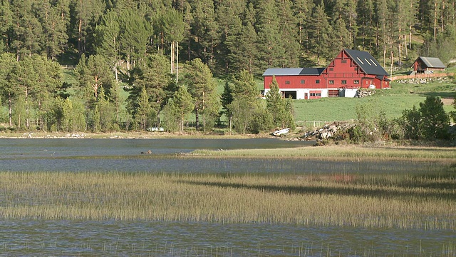 挪威Oppland的Doenfoss / Doenfoss附近Tundradalen的房子视频素材