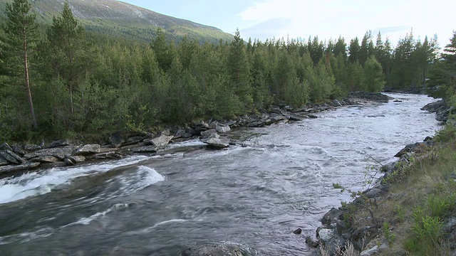 挪威Oppland的Doenfoss / Doenfoss附近Tundradalen流动的溪流视频素材