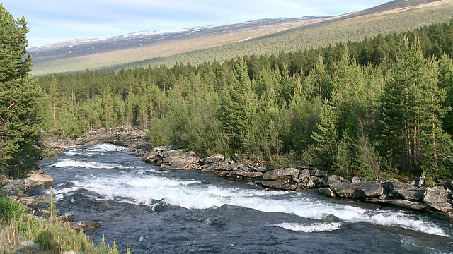 挪威Oppland的Doenfoss / Doenfoss附近Tundradalen流动的溪流视频素材