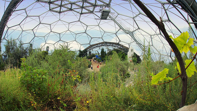 在Eden Project / St. Austell的温带住宅内，英国，英国视频素材