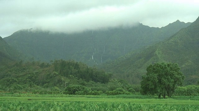 (HD1080i)热带瀑布高山上，拉视频素材