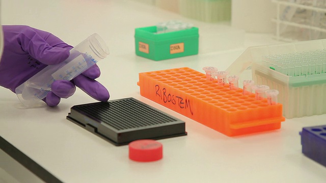 科学家在基因实验室将液体倒入小瓶中视频素材画面3
