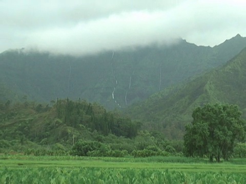 高山上的热带瀑布，拉视频素材