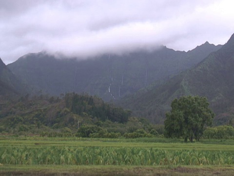 热带瀑布高山上，推视频素材