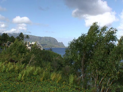 夏威夷:考艾岛巴厘岛，放大视频素材