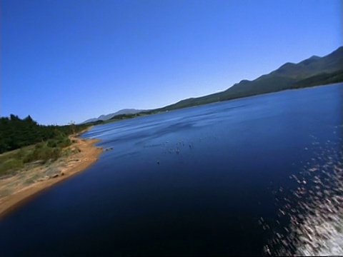 南非河流支流上空的空中跟踪视频下载