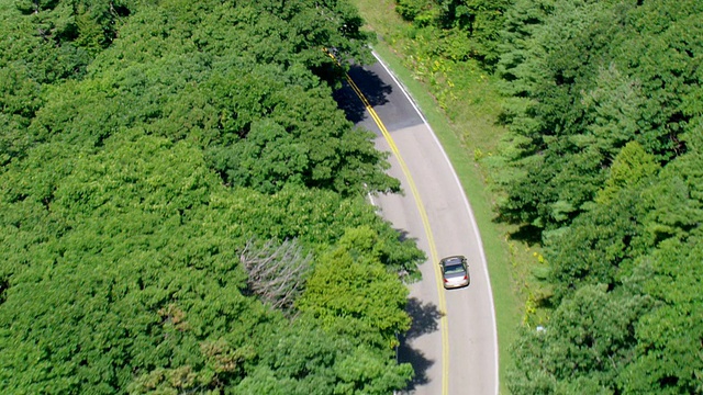 美国弗吉尼亚州森林道路上的汽车的WS AERIAL TS ZI视图视频素材