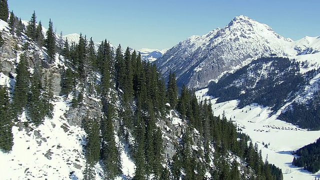 松树和雪山/瑞士鸟瞰图视频素材