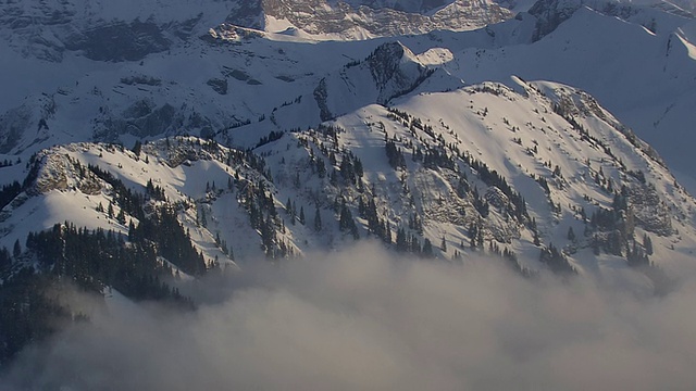 WS AERIAL ZI View of Pine tree with snow covered mountain with clouds /瑞士视频素材