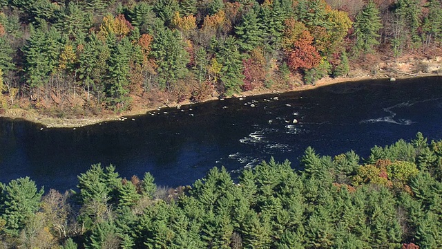 MS AERIAL DS View of Merrimack River and autumn color trees / New Hampshire，美国视频素材