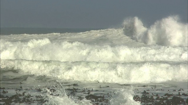 海浪白色的水Gansbaai，南非视频素材