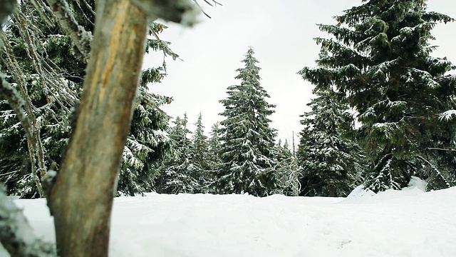 冬天在雪地上奔跑的人视频素材