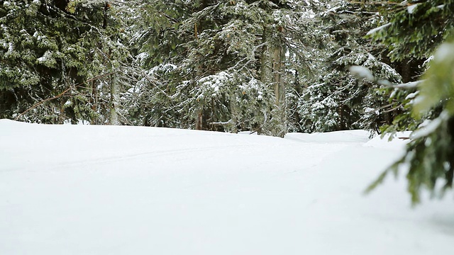 在冬天的森林里，人们在雪地上跑步穿越田野视频素材