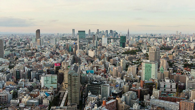 新宿高层建筑的日落/东京，日本视频素材