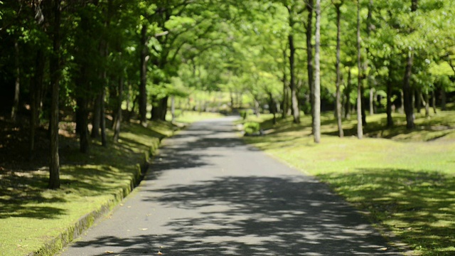 日本京都宇次，一名女子走在绿色公园的路上视频素材