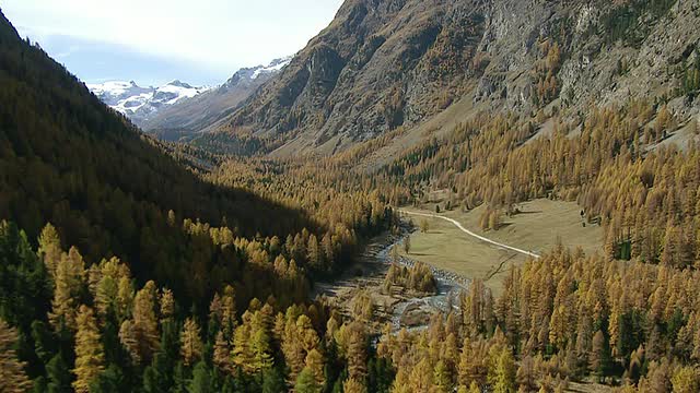 WS鸟瞰图的罗斯格山谷与河流在秋天，雪山和冰川/罗斯格山谷，上恩加丁，瑞士视频素材