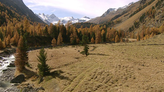 MS AERIAL Shot of Roseg valley with river rosegbach in autumn, with snowy mountains and冰川/ Roseg valley, Upper Engadin, Switzerland视频下载