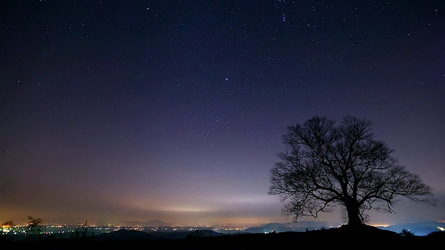 WS T/L Sawleaf zelkova在星迹后面的夜晚/ Buyeo，忠清南道，韩国视频素材