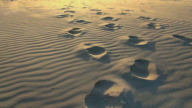 北海北弗里斯兰，St. Peter Ording，石勒苏益格荷尔斯泰因，德国视频素材