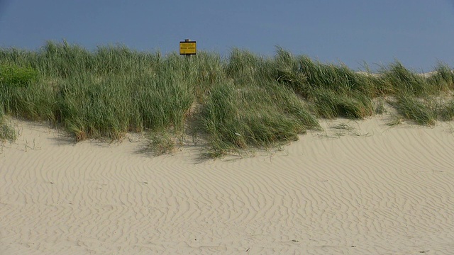 MS拍摄的沙丘景观，北海北弗里斯兰，/ St. Peter Ording，石勒苏益格荷尔斯泰因，德国视频素材