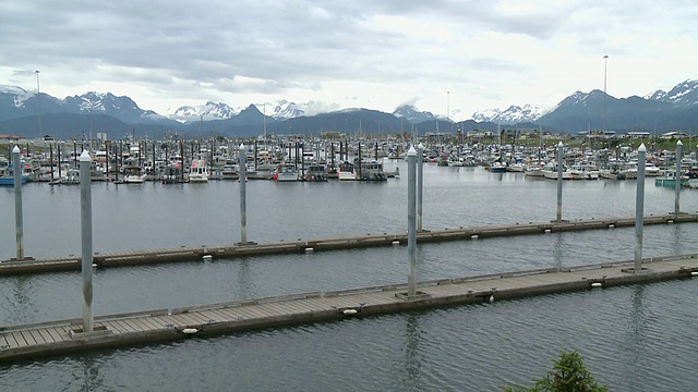 “荷马船港的船只视野开阔，背景是卡切马克湾州立公园(Kachemak Bay State Park)和荒野公园(Wilderness Park)的雪山，霍默斯唾沫(Homer Spit)，霍默，基奈半岛(Kenai Peninsula)，阿拉斯加。”视频素材