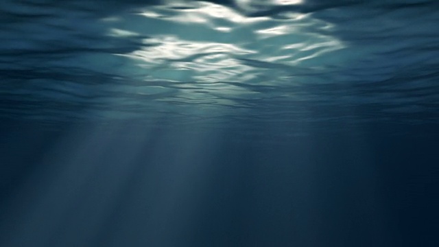 水下视频素材画面1
