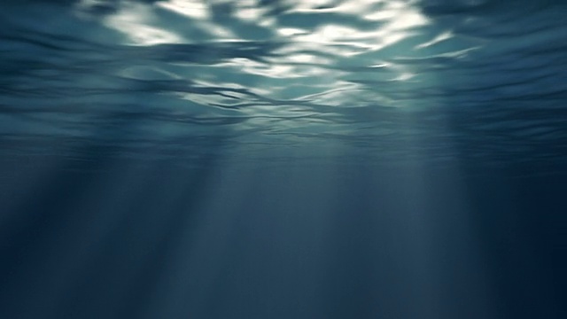 水下视频素材画面2