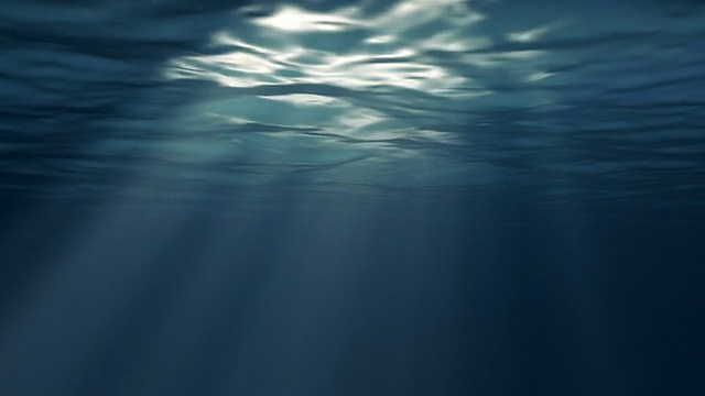 水下视频素材画面3