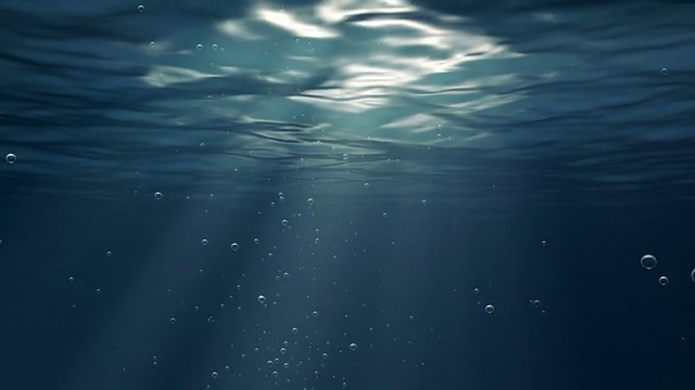 水下视频素材画面2