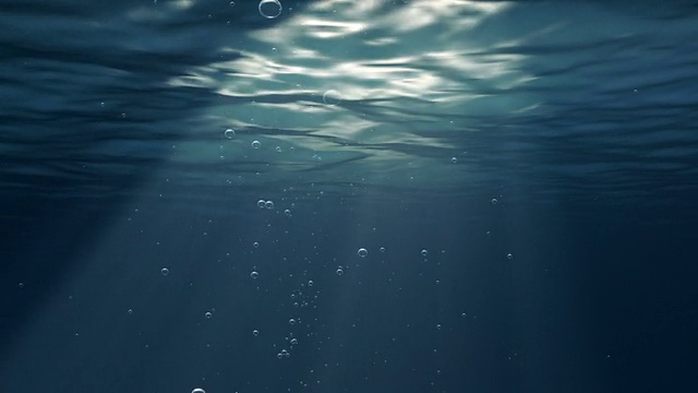水下视频素材画面3