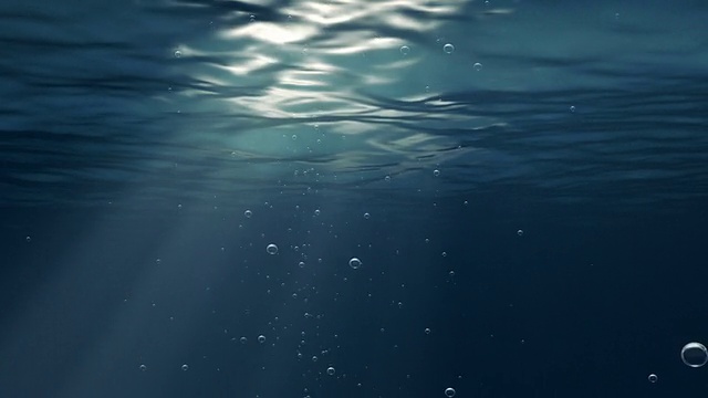 水下视频素材画面4